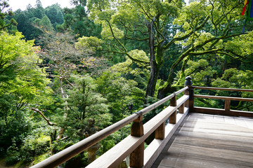 Obraz premium 日本家屋