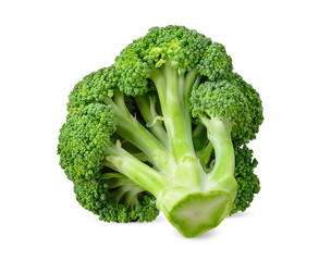 Broccoli isolated on white clipping path