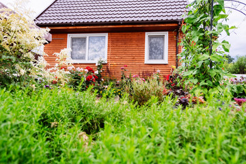 Village house for rest. House in nature. Old country house with flowers