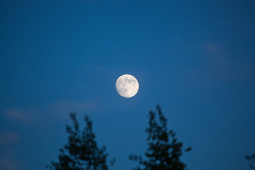 Full moon on a clear sky. A natural blurred landscape autumn. Astrakhan Region, Russia. Defocused.