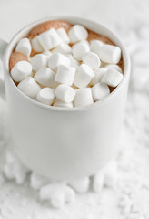 Fototapeta na wymiar cocoa with marshmallows on a winter snowy background