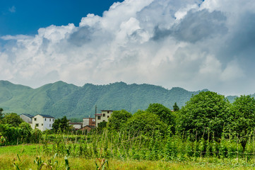 The countryside scenery in spring