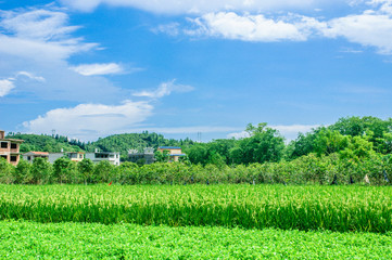 Fototapeta na wymiar The mountains and rural scenery 