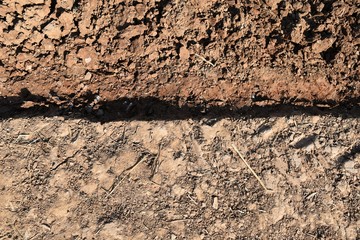 straw and soil lump in rice field before plant rice