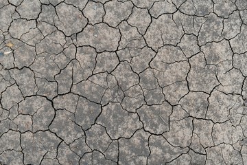 dry soil for background