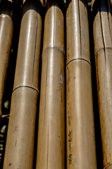 bamboo background