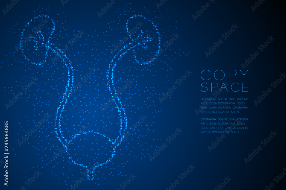 Poster kidney and bladder shape abstract geometric bokeh light circle dot pixel pattern; medical science or