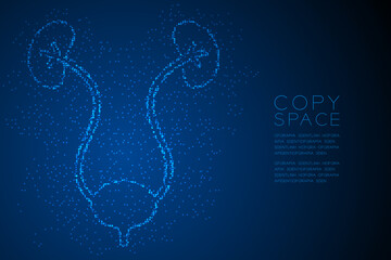 kidney and bladder shape Abstract Geometric Bokeh light circle dot pixel pattern; Medical Science Organ concept design blue color illustration isolated on blue gradient background with space; vector