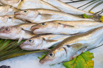 Fresh fish on ice in fish market