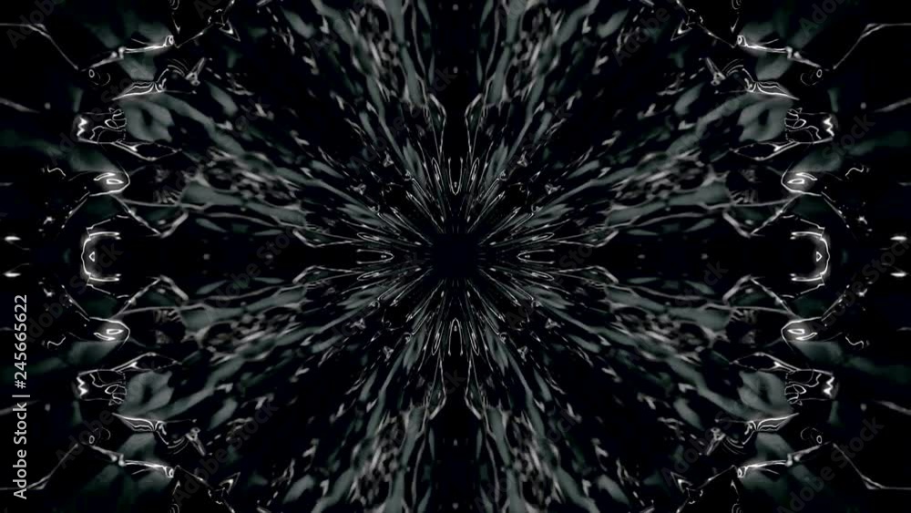 Poster abstract, monochrome symmetric pattern of feathers on black background, seamless loop. kaleidoscopic