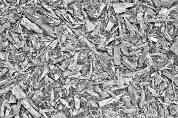 Wood Chips Texture