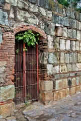 reja en muro de piedra verde oaxaca