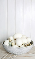 Bowl of eggs. Easter decoration.