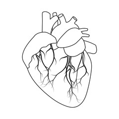 Vector illustration of body and human icon. Set of body and medical stock symbol for web.