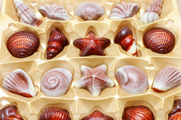 Mix of chocolate pralines.