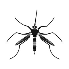 Isolated object of insect and fly symbol. Set of insect and element stock symbol for web.