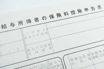 給与所得者の保険料控除申告書