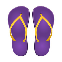 Vector design of equipment and swimming symbol. Set of equipment and activity stock symbol for web.