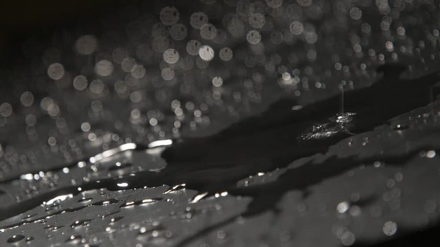 Thin brooklet of rainy water stretching among splashing drops in slow motion 