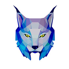 low poly portrait of a lynx in cold tones, , sketch vector graphic colour illustration on white background © Vitaly