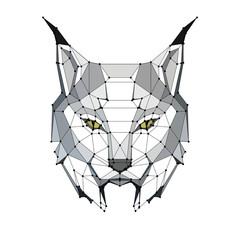 low poly portrait of a lynx with points, graphic monochrome illustration © Vitaly