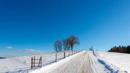 Stunning winter landscape