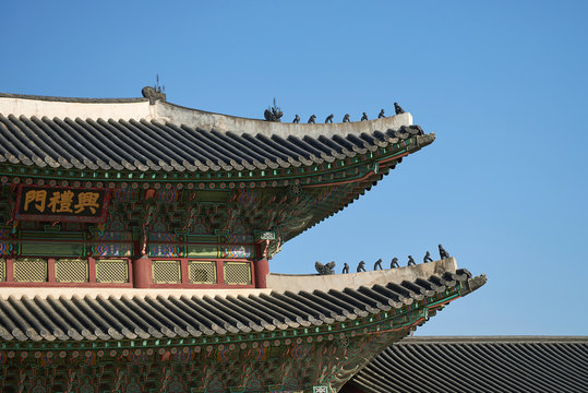 Traditional korea roof decoration. blue sky and Colorful structures