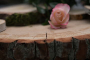 Holzoptik Rose
