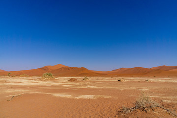 Fototapeta na wymiar desert dune background on blue sky namibia