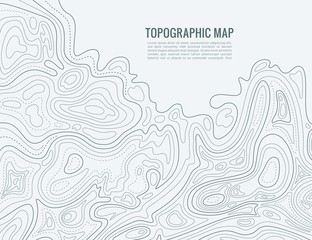 Contour line map. Elevation contouring outline cartography texture. Topographical relief map vector background - obrazy, fototapety, plakaty