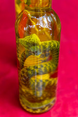 eine tote Schlange in einer Flasche mit Reiswein