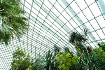Fototapeta na wymiar Beautiful architecture building flower dome garden and greenhouse forest for travel
