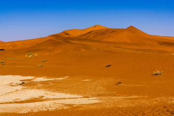 Fototapeta na wymiar Red Sand Dunes in namibia