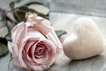 Einzelne Rose mit Herz, romantische Dekoration
