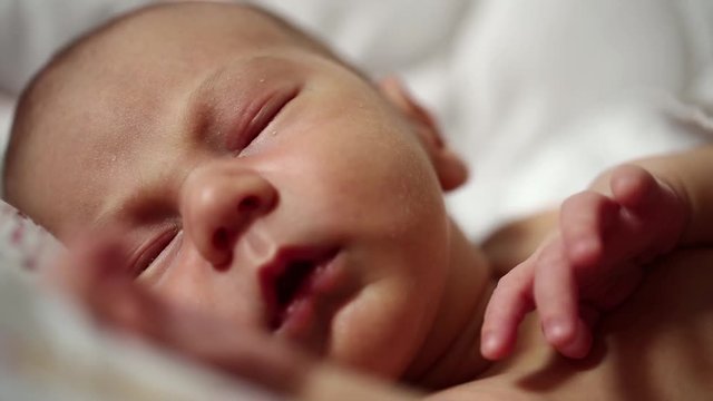 Newborn baby sleeps