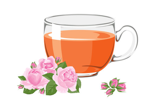 Herbal tea with roses in glass cup with flowers and buds  isolated on white background. Vector illustration of hot drink in cartoon simple flat style.