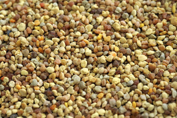 Blütenpollen