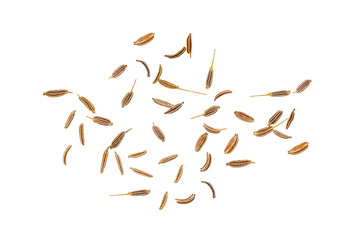 Cumin seeds isolated on a white background. Top view.