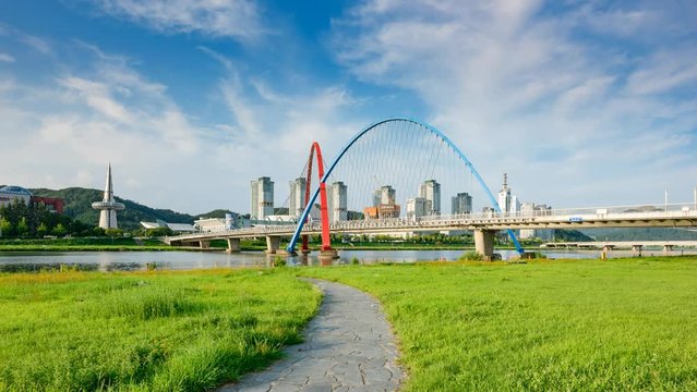   Daejeon Expo bridge and meadow,South Korea