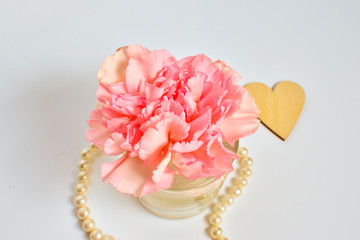 pink carnation and heart closeup