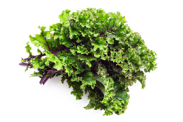 Obraz premium Fresh organic kale isolated over white