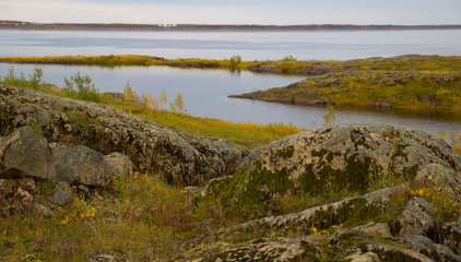 amazing nature of the North