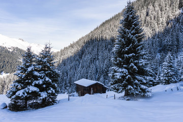 Austria Sunny Winter Mountains