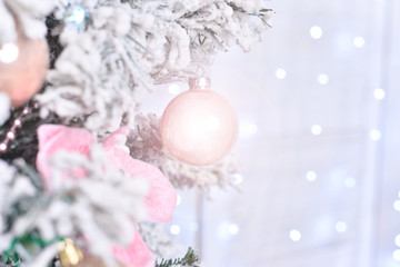 Bokeh background image