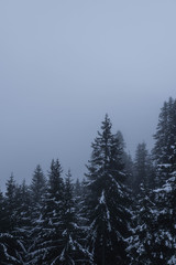 Austria Mountains Snow