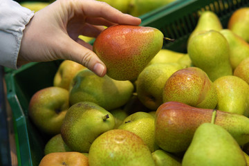 The buyer holding a fresh pear on the background of shelves with fruit.
