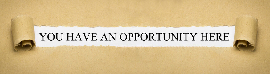 You have an opportunity here