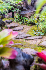 Stone steps and green moss decoration in japanese garden./ Stone steps and green moss decoration in japanese garden..