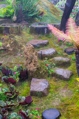 Stone steps and green moss decoration in japanese garden./ Stone steps and green moss decoration in japanese garden..