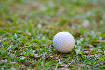 Close-up Of golf ball on the green grass.